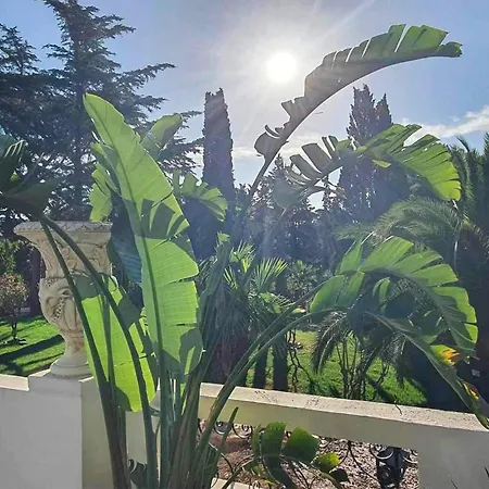 Apartment Stunning In Saint-raphael With Wifi *